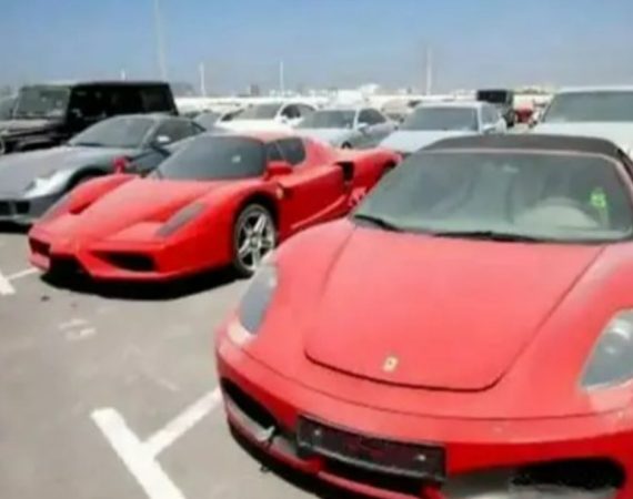 WhatsApp Image 2026-02-25 at 14.38.20