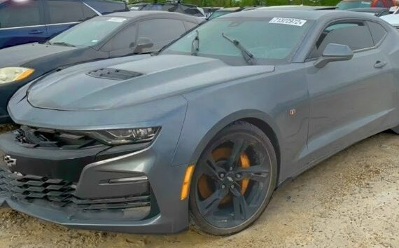 WhatsApp-Image-2026-02-25-at-14.38.21